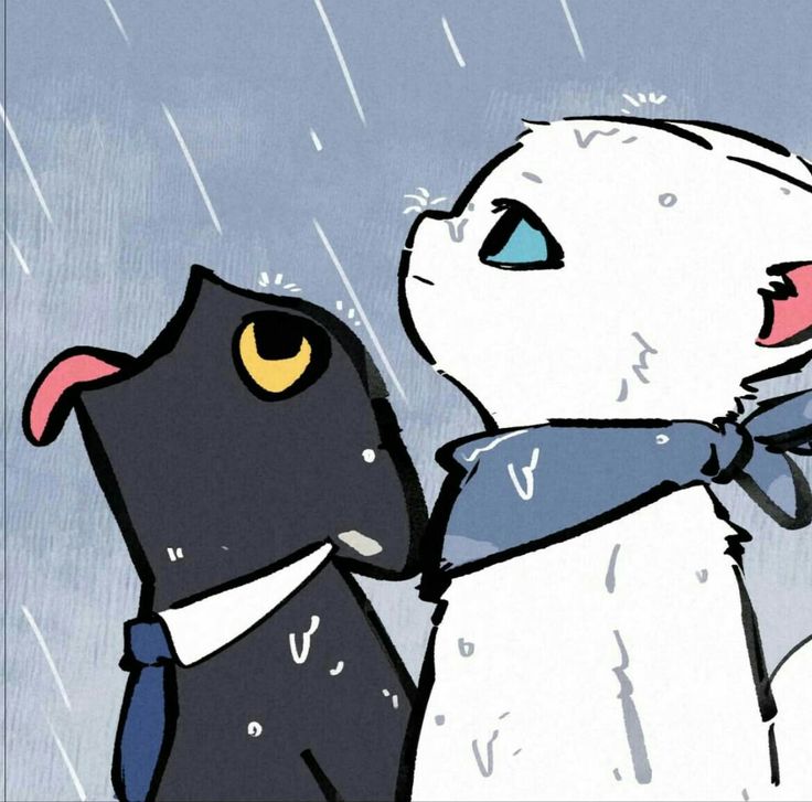 ember_dap2's tweet photo. L teast rain water https://t.co/RY8TJyR13b
