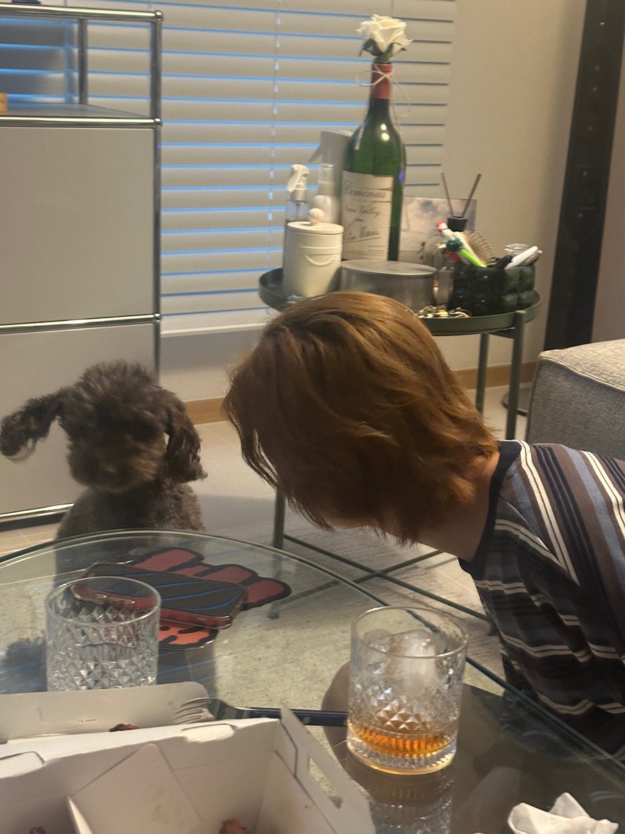 xaxixwx's tweet photo. พิจ๋าไปก๊งกับเจ้าเจี๊ยบหรอออ อ่ยยน่ารักมากก น่ารักทั้งคนทั้งม๋า🥹🫳🏻 https://t.co/glKLZ0V8gF