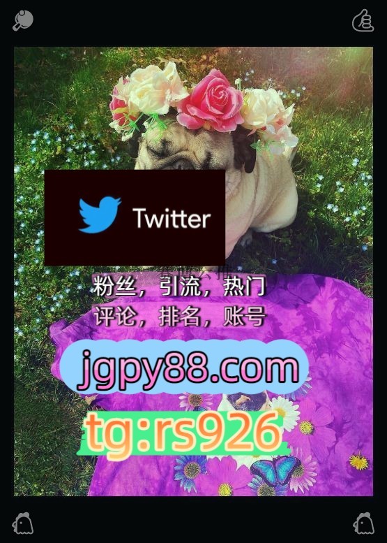 ichi10131013's tweet photo. Speak kindly to everyone you meet now.
注册号海外获客🌺互推助手🎌数字货币🍁外🦌facebook软件获客、海外推广、流量增长
批量发帖、多账号管理、推广营销推特账号海外流量、品牌推广、社媒营销石家庄
评论截流🎉股票代码🌟辅助工具🔥品牌增长👍世界杯围120013推特矩阵系统、Twitter矩阵系统、X https://t.co/70qOx16CIU