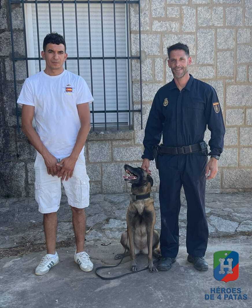 heroesde4patas's tweet photo. ¿Conocéis la leyenda del hilo rojo? ❤️
Con Said y Louna, de la Policía Nacional, se hizo realidad.
Said la rescató cuando era una cachorra y la entregó a la Policía Nacional para que pudiera servir. Aquel día se prometió que, cuando llegara su jubilación, volvería a adoptarla. https://t.co/mOXMmgo1UK