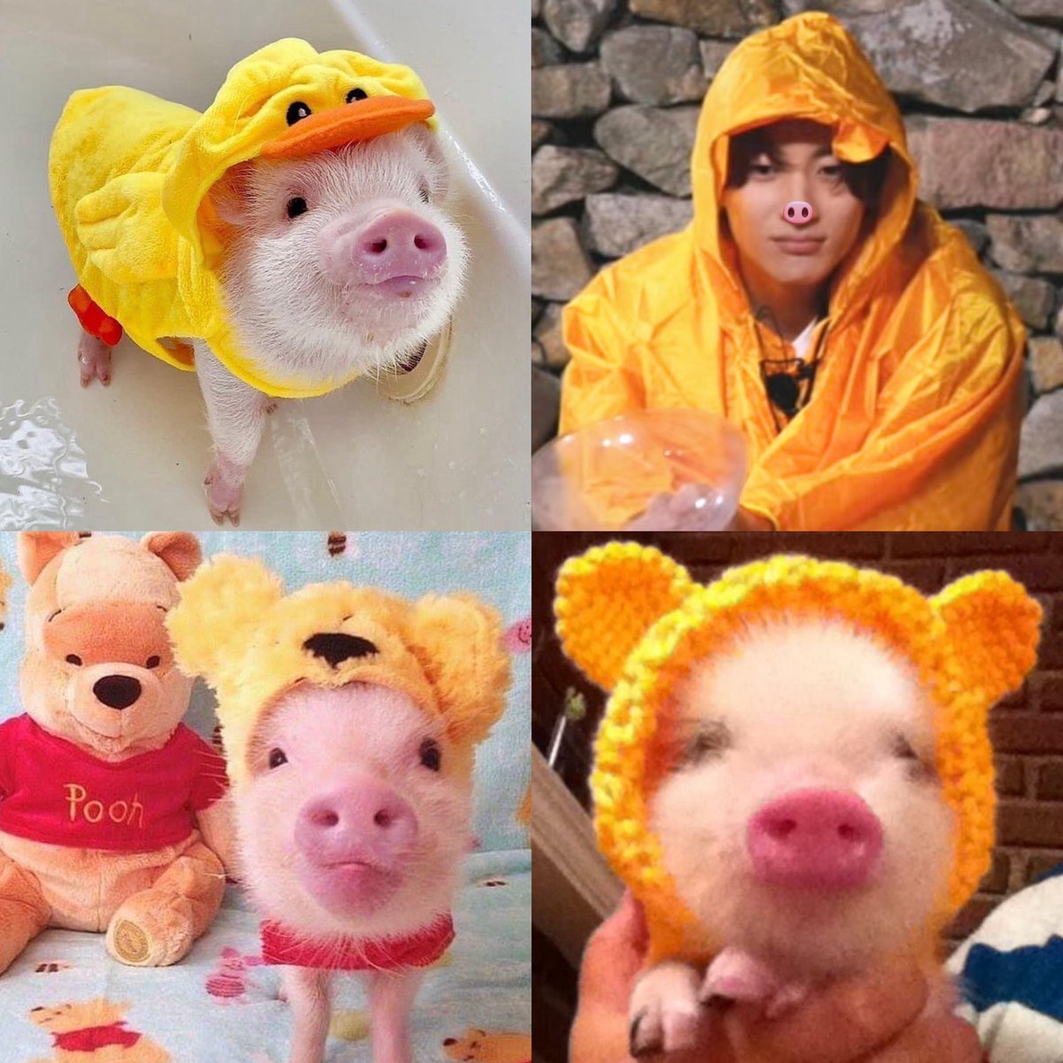 antinichio's tweet photo. คนไหนคือน้องแอนตันตุวจิง 🐽🐣❔ https://t.co/k8jsDaKHSU