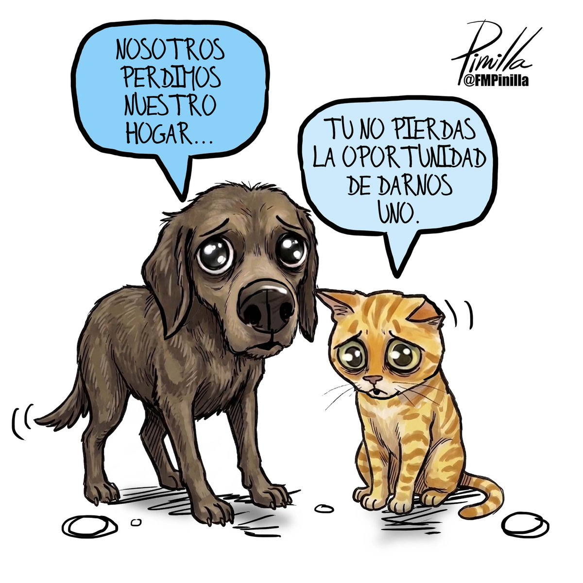 FMPinilla's tweet photo. ¡Adopta!
•
Caricatura para @elnacionalweb
•
#caricatura #cartoon #venezuela🇻🇪 #mascotas #perro https://t.co/oGJ7Zox3n2
