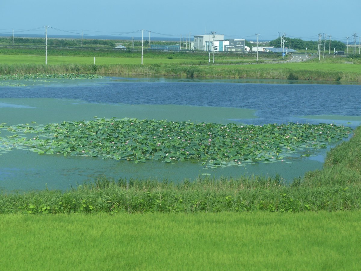sato_opticians's tweet photo. 福島県・浜通り地方を南北に縦貫する常磐線は、太平洋に続く比較的平坦な土地に線路が敷かれ、特急「ひたち」も坦々と進んでいきます。海沿いには、火力発電所が立地しています。仙台駅を出て最初の停車駅・相馬駅に停車。時々居眠りをしながらぼんやり車窓を眺めていると、向こうに太平洋が見えてきました。おや？海の上に何かあるぞ、と気づき、画像を確認すると、「FUJITRANS」と書かれた大きな貨物船でした。