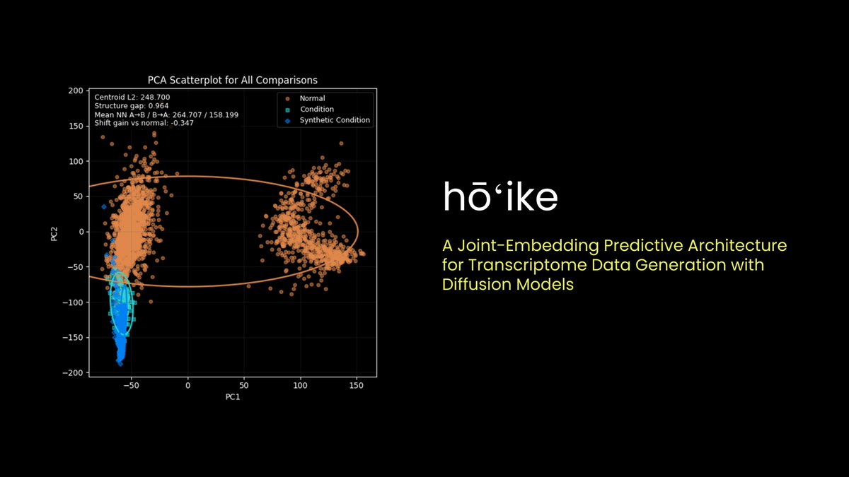 c01_by's tweet photo. New preprint! Our new project at Silico Biosciences, called #Hoike, provides a #JEPA and #diffusion framework for synthetic generation of gene expression data.
https://t.co/ruMnsMc5zl
#biomarkerdiscovery #geneexpression #transcriptomics #computationalbiology #bioinformatics https://t.co/AGhcjRh4wT