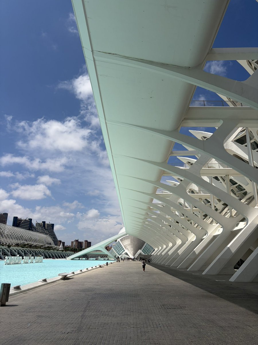 Liberalnedisco's tweet photo. Wyszło Calatravie zagospodarowanie koryta rzeki Turia
Ciudades des las Artes to fenomenalny przykład wizji architektonicznej, przenoszącej człowieka w świat nierzeczywisty, futurystyczny, jak i również pełen wrażliwość i czułości na piękno 
Fantastyczne miejsce w Walencji https://t.co/iQfdTIxcnu