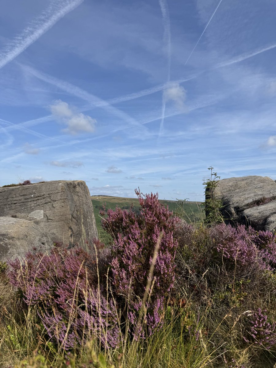 abdalla8338's tweet photo. Looking towards Carl Wark and Higger Tor from Burbage edge South.
From Upper Burbage, Fox House, and Burbage moor circular walk.
#burbageedge #burbageedgewalk #peakdistrictwalks #peakdistrictnationalpark #heatherseason https://t.co/zjT2rgrcrf