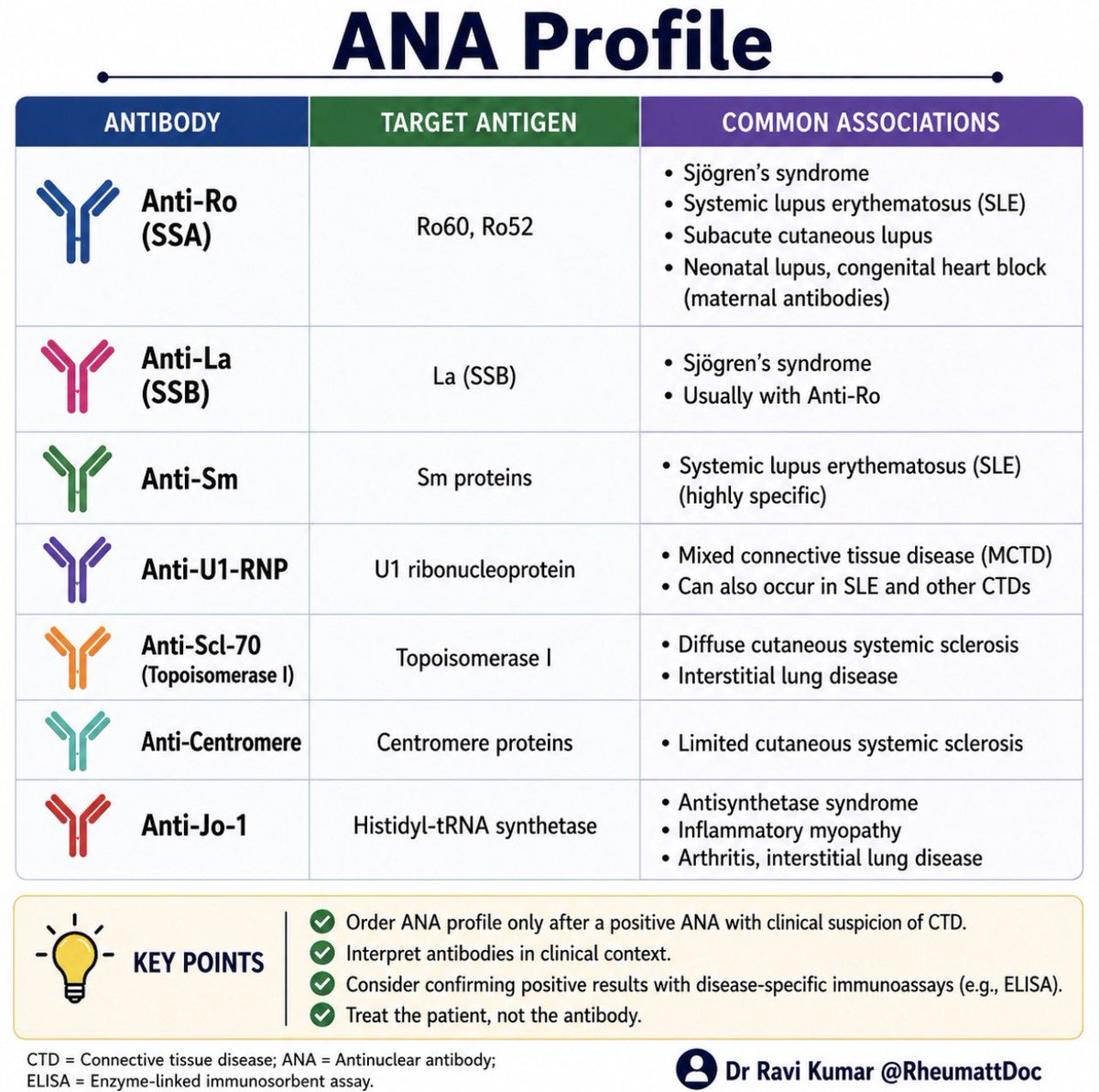 RheumattDoc's tweet photo. 🧵 ANA Profile: Beyond a Positive ANA

A positive ANA is often the beginning not the end of the diagnostic journey.

The ANA profile helps identify disease-specific autoantibodies that support the diagnosis of connective tissue diseases when interpreted in the right clinical context.

Whenever available, confirm clinically relevant autoantibodies with disease-specific immunoassays (e.g., ELISA or other validated antigen-specific assays) rather than relying solely on the ANA profile.

Let’s break it down. 👇

#RheumattDoc #MedTwitter #RheumTwitter #Medicine #rheumatology @docakx @IhabFathiSulima @CelestinoGutirr @DurgaPrasannaM1