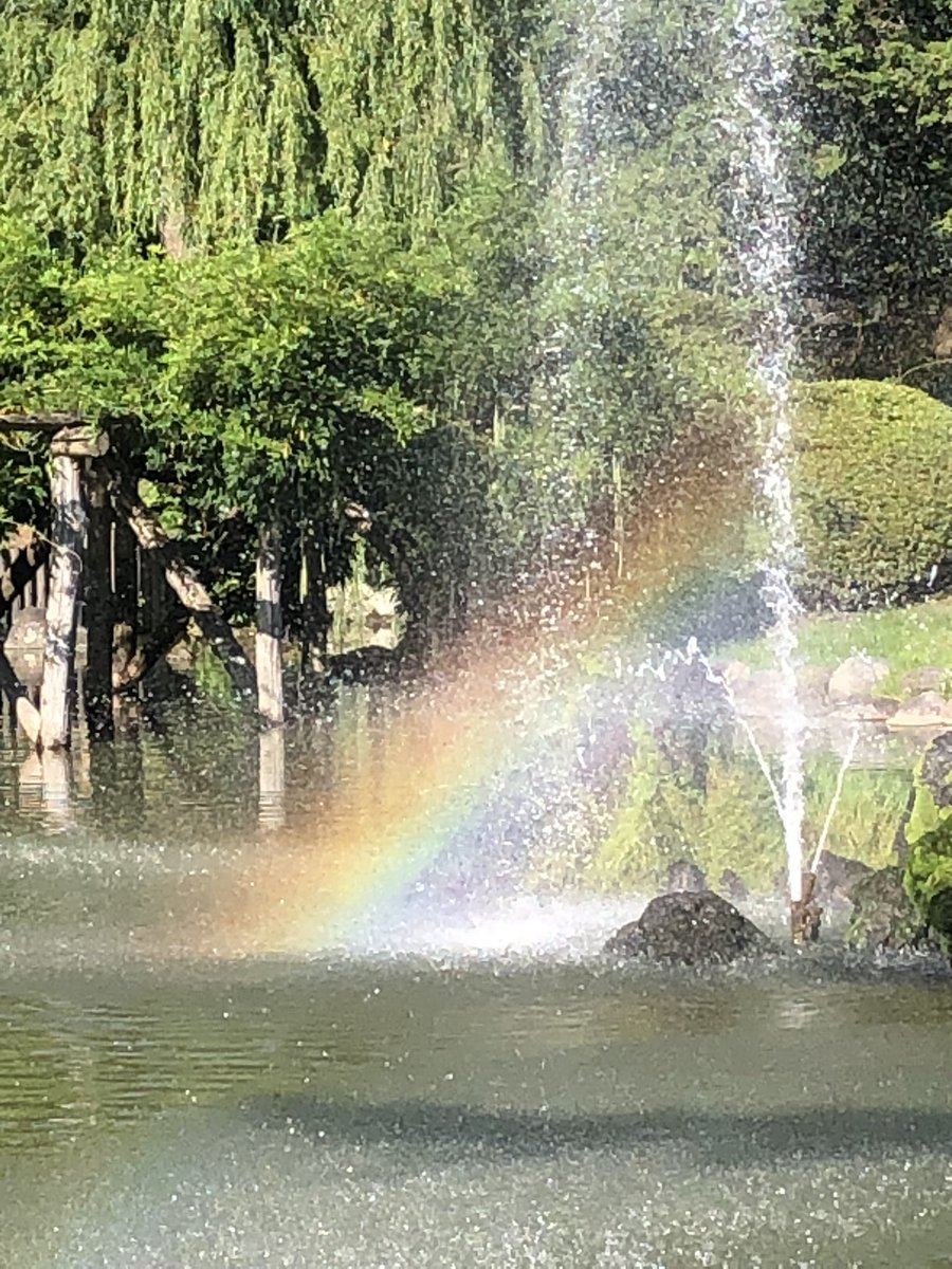 Aurora_Uran's tweet photo. 鍛え上げれば虹をも繰り出します

イリュージョムンッ🌈✨ https://t.co/B7i1Sm7Y0r