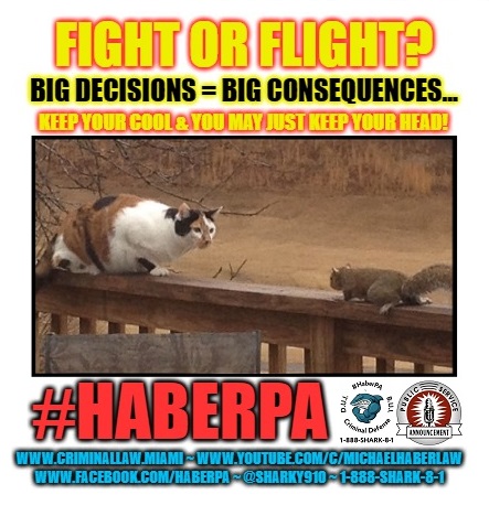 sharky910's tweet photo. Using the image below today's #HaberPA #PSAOfTheDay explains the #FightOrFlightResponse, applies #Hyperarousal to #PoliceCitizenEncounters &amp; offers #ProTips for you to curb odds of #OfficerFriendly becoming #OfficerUnfriendly &amp; max odds for a #HappyEnding. https://t.co/hxs5cu3jYR https://t.co/1V3XxJ764S