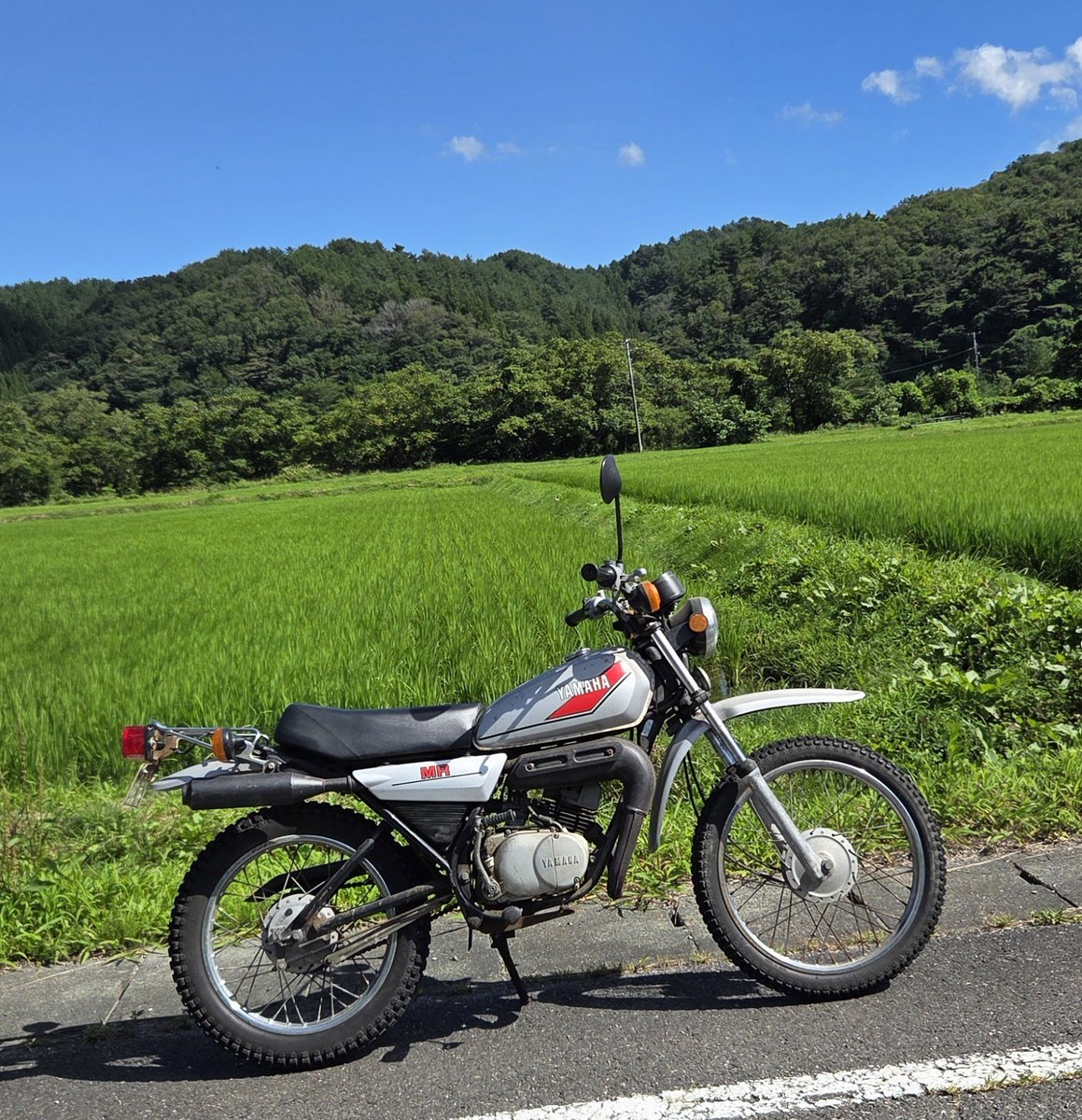 2stroke50cc tweet picture