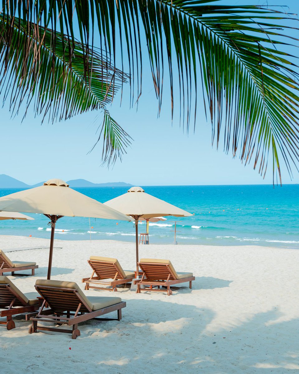 MSC_Crociere's tweet photo. Una nuova destinazione caraibica è pronta a sorprenderti.

📍MSC Opera, Catalina Sugar Beach, Repubblica Dominicana

#MSC #BestHolidayEver https://t.co/iNaENCWFCR