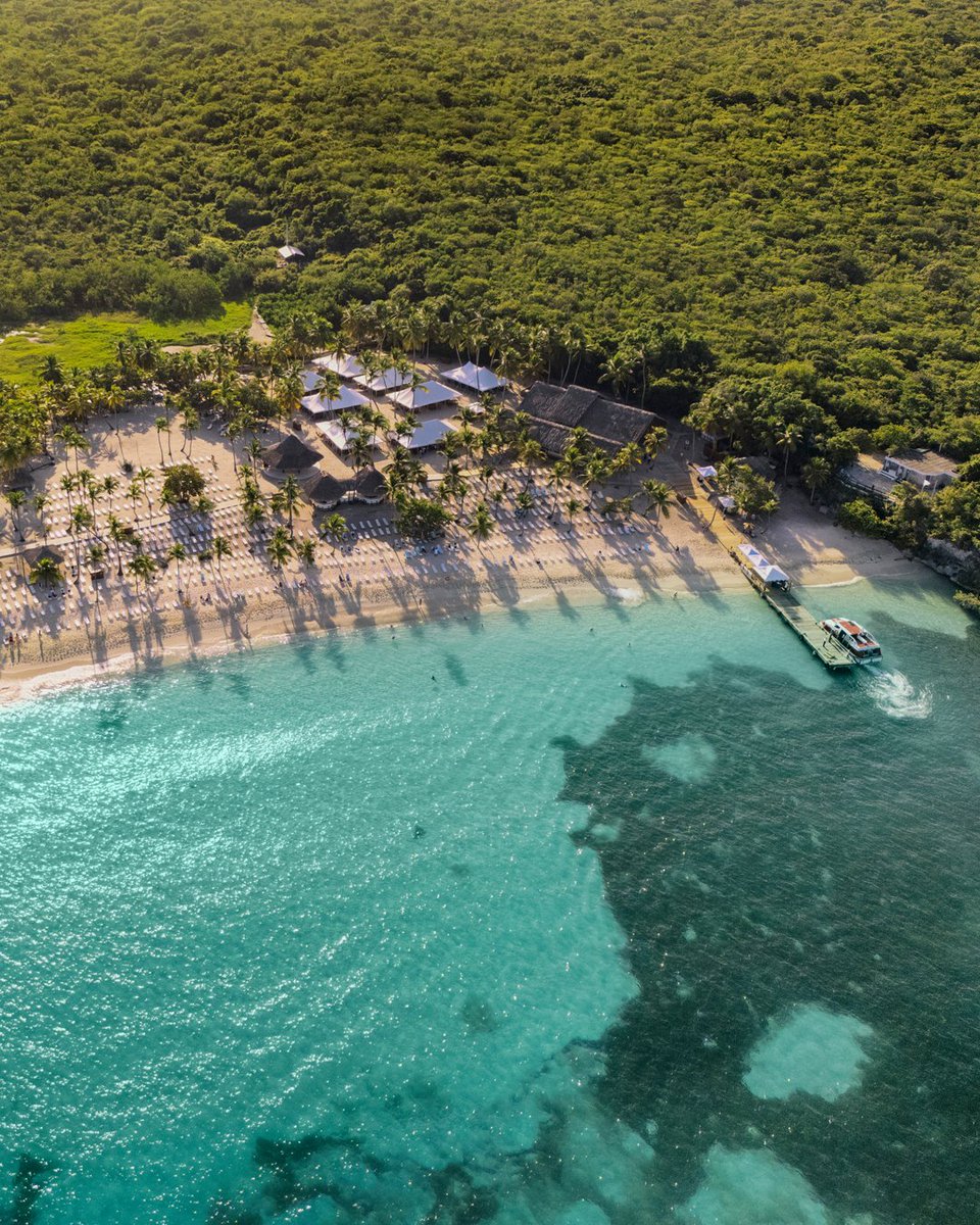 MSC_Crociere's tweet photo. Una nuova destinazione caraibica è pronta a sorprenderti.

📍MSC Opera, Catalina Sugar Beach, Repubblica Dominicana

#MSC #BestHolidayEver https://t.co/iNaENCWFCR