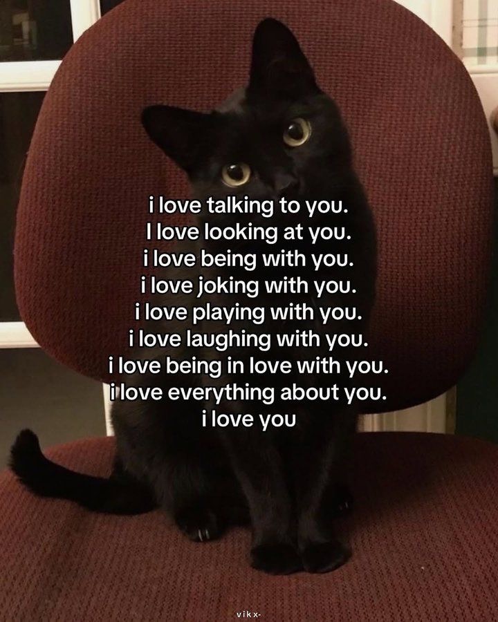 catontwt's tweet photo. https://t.co/Vju63SkdhK