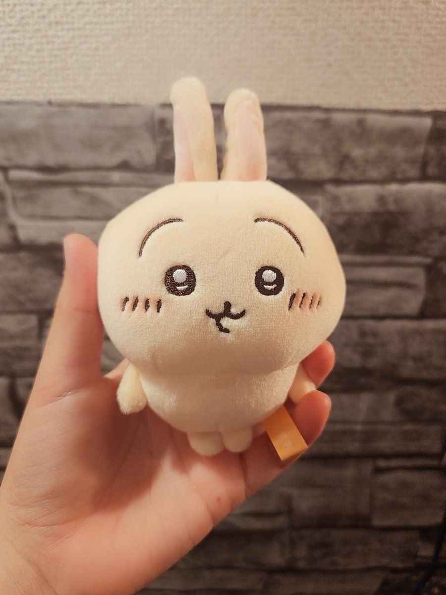wall_Nuts_'s tweet photo. 映画を見たもの相まって買ってしまったうさぎ💛🐰 https://t.co/MWdtm2YAQS