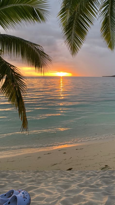 oscarcantom's tweet photo. Golden hour at the tropical beach
Qjh https://t.co/Z3Ltq5leJ5