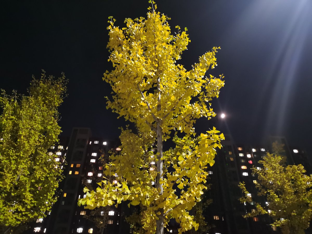BuckProksckx4's tweet photo. Celebrating the first full moon of 2025—may this glow bring gentle luck to everyone tonight ， https://t.co/F4qVxcP08r