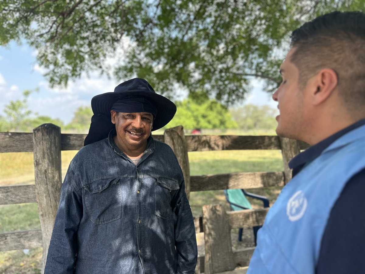 MisionONUCol's tweet photo. En #RostrosDelAcuerdo, firmantes de paz y jóvenes de El Paso, Cesar, muestran que la reincorporación también protege el medio ambiente. Conoce cómo la reforestación y las prácticas sostenibles contribuyen a la construcción de paz.

👉 https://t.co/MPgEG8Ac1m https://t.co/6z4Lhj7IFz