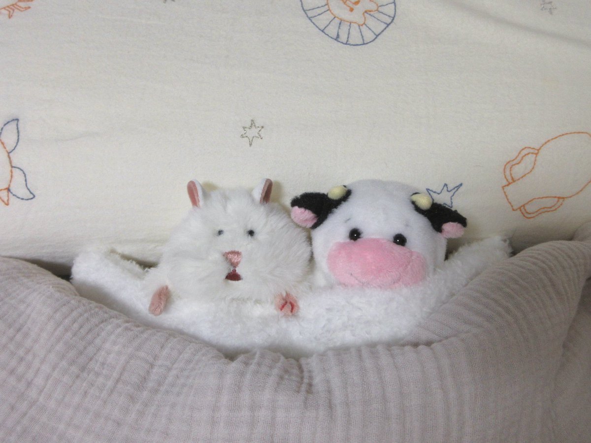 _softushi's tweet photo. 空飛ぶ布団に乗ってベッドにいきましょ
いい夢みてね、おやすみ︎︎︎︎☁ https://t.co/AuHucOm6iU