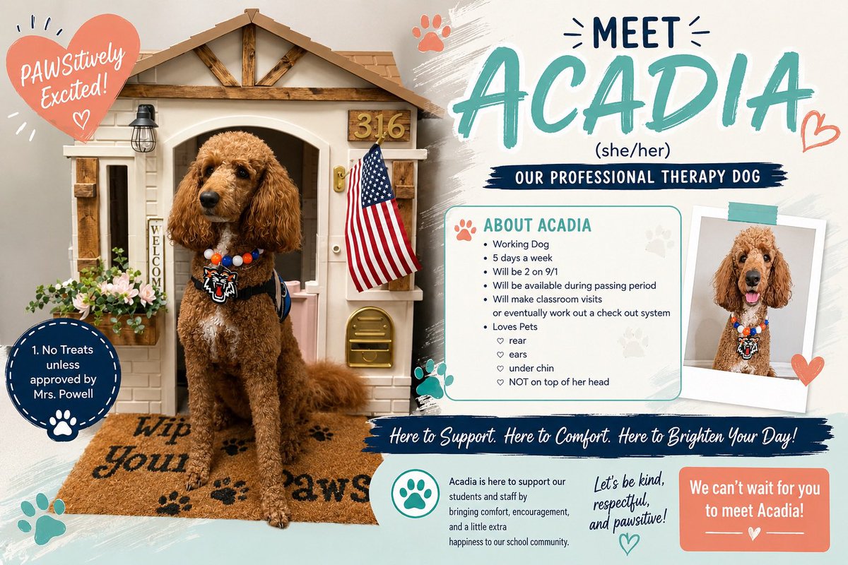 HumbleISD_AMS's tweet photo. 🐾 Meet the newest member of the AMS family… Acadia! 💙🧡
Our professional therapy dog is here to bring comfort, encouragement, and smiles to our Tigers throughout the school year. We can't wait for everyone to meet her!
#DynamicByDesign #AMSTigers #HumbleISD 🐶 https://t.co/r3uv0SKZup