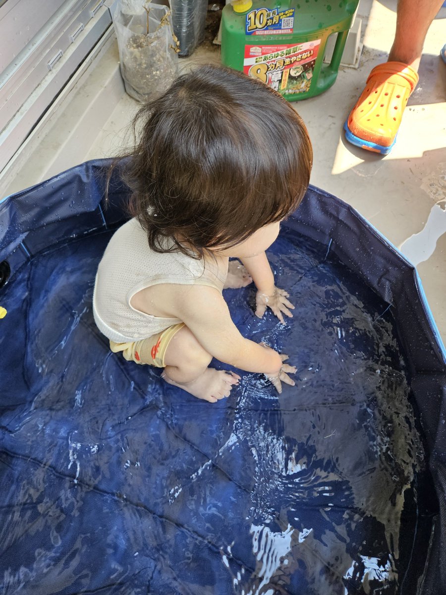 diet_magical's tweet photo. 開幕3分で💩プールになった🫶🏻 https://t.co/zfZutaYZ3H