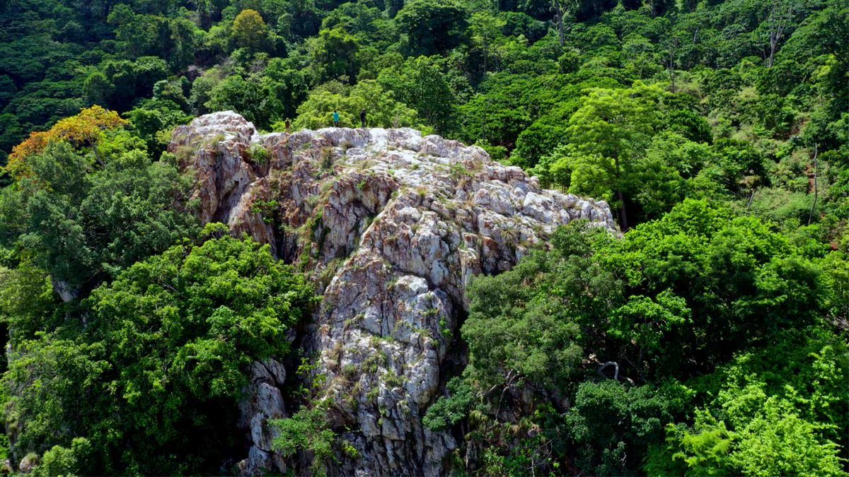 TNGeography's tweet photo. The Shervarayan Hills (Yercaud) in Salem district is known for two large majestic white rock formation near Gundur village. There is no clarity on their mineral composition and formation process. It looks like a white quartz formation, few call it limestone formation 🤷1/2 https://t.co/IJ77xWXPWv