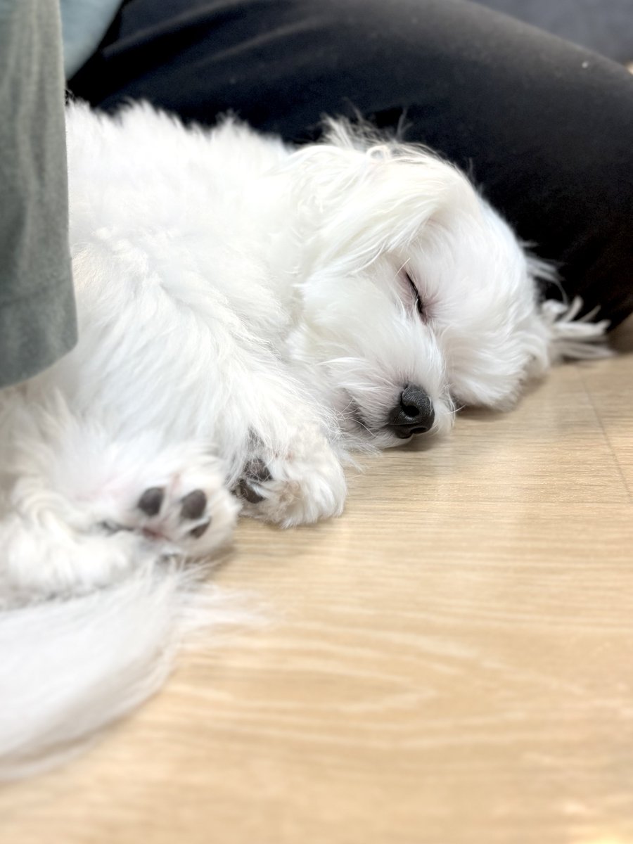 angelykmrn's tweet photo. 💤 https://t.co/sbsIx5cAy2