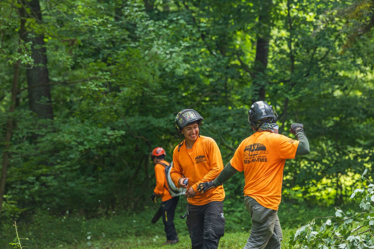KJTreeService's tweet photo. Hard work, plenty of smiles, and a team that takes pride in every job. We’re grateful for the crew that shows up every day ready to work safely, support one another, and take care of our customers. https://t.co/waknjPAkel