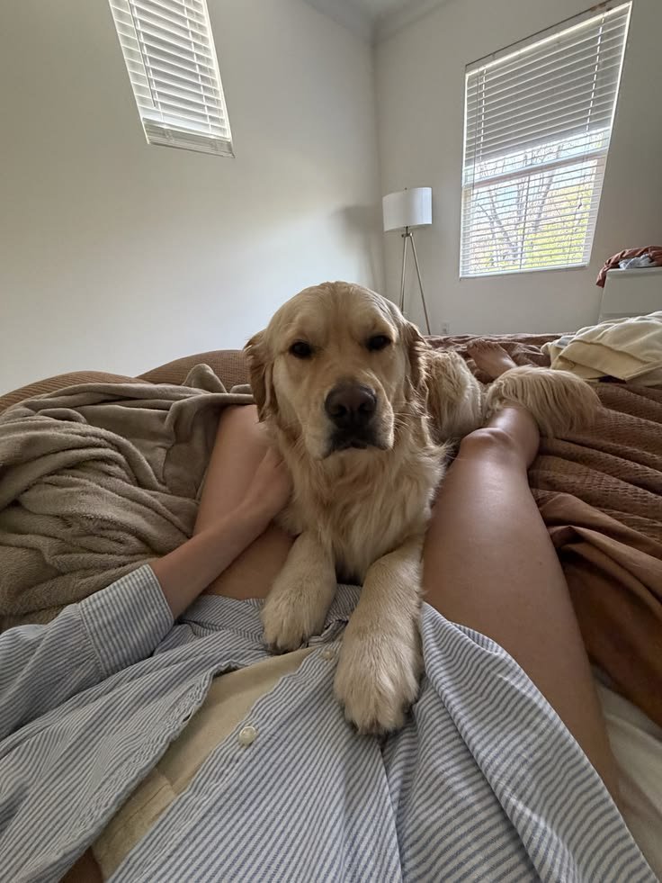 KnottiLayl's tweet photo. My story today: paws, smiles, and good vibes. 🐾💕 https://t.co/Rm5TcJypH2