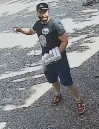 DahliaKurtz's tweet photo. POLICE LOOK FOR GRADE-A LOSER AFTER SYNAGOGUE VANDALIZED

Neo-Nazi flyers spread virulent conspiracies in rural Canada.

Then this bunghole vandalizes a place of worship in Saskatoon. With Costco eggs. In broad daylight.

But onwards with Canada's fight against Islamophobia!