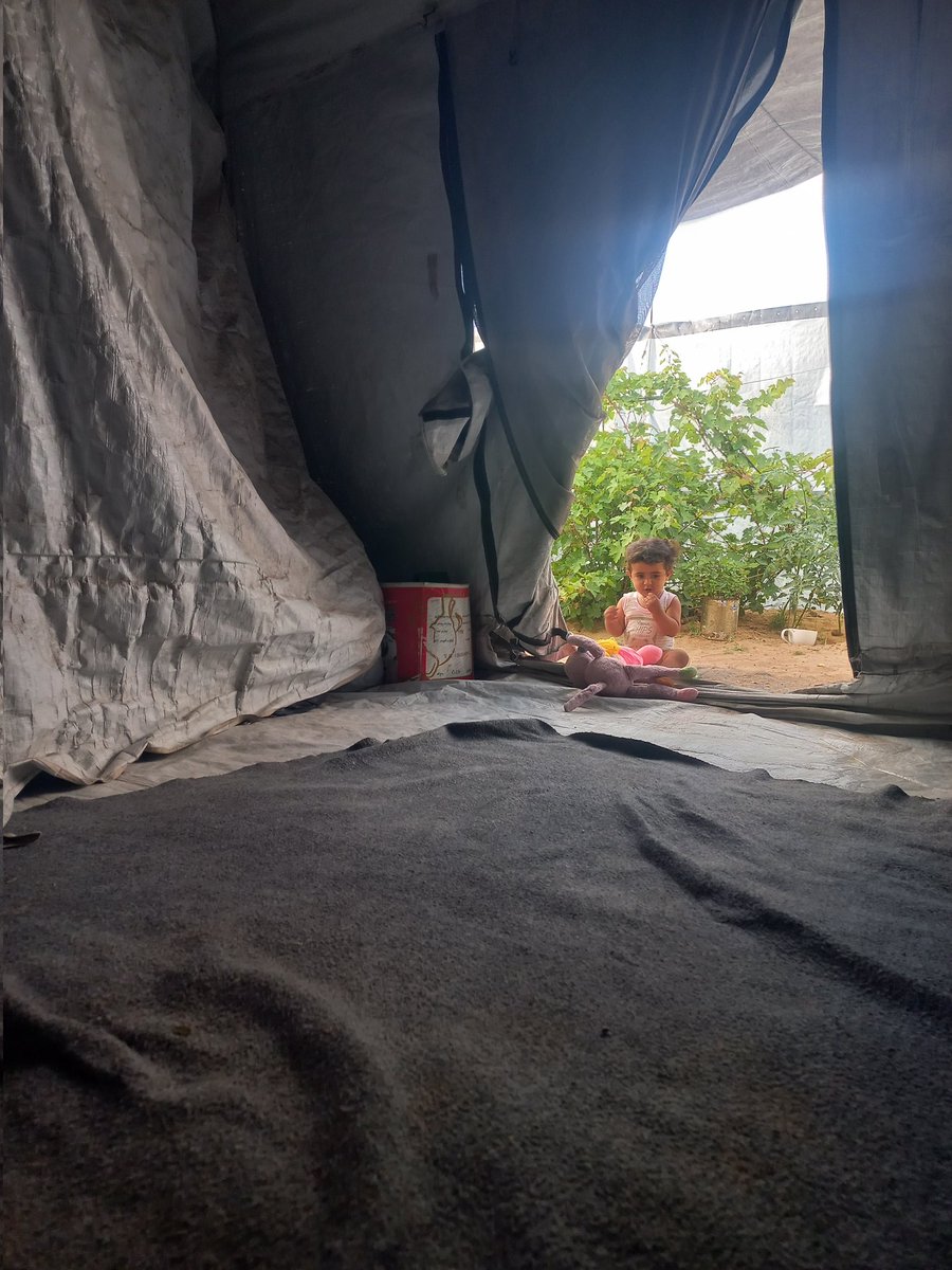 Laiesea's tweet photo. To all the mothers ❤️

As a mother, all I want is to provide milk, diapers, and a safe life for my little Maryam. Every day is a struggle, and any support or share means the world to us.

Thank you for keeping Maryam in your heart. 💖
https://t.co/DUNXiKzqTM https://t.co/Hljht7OsPQ