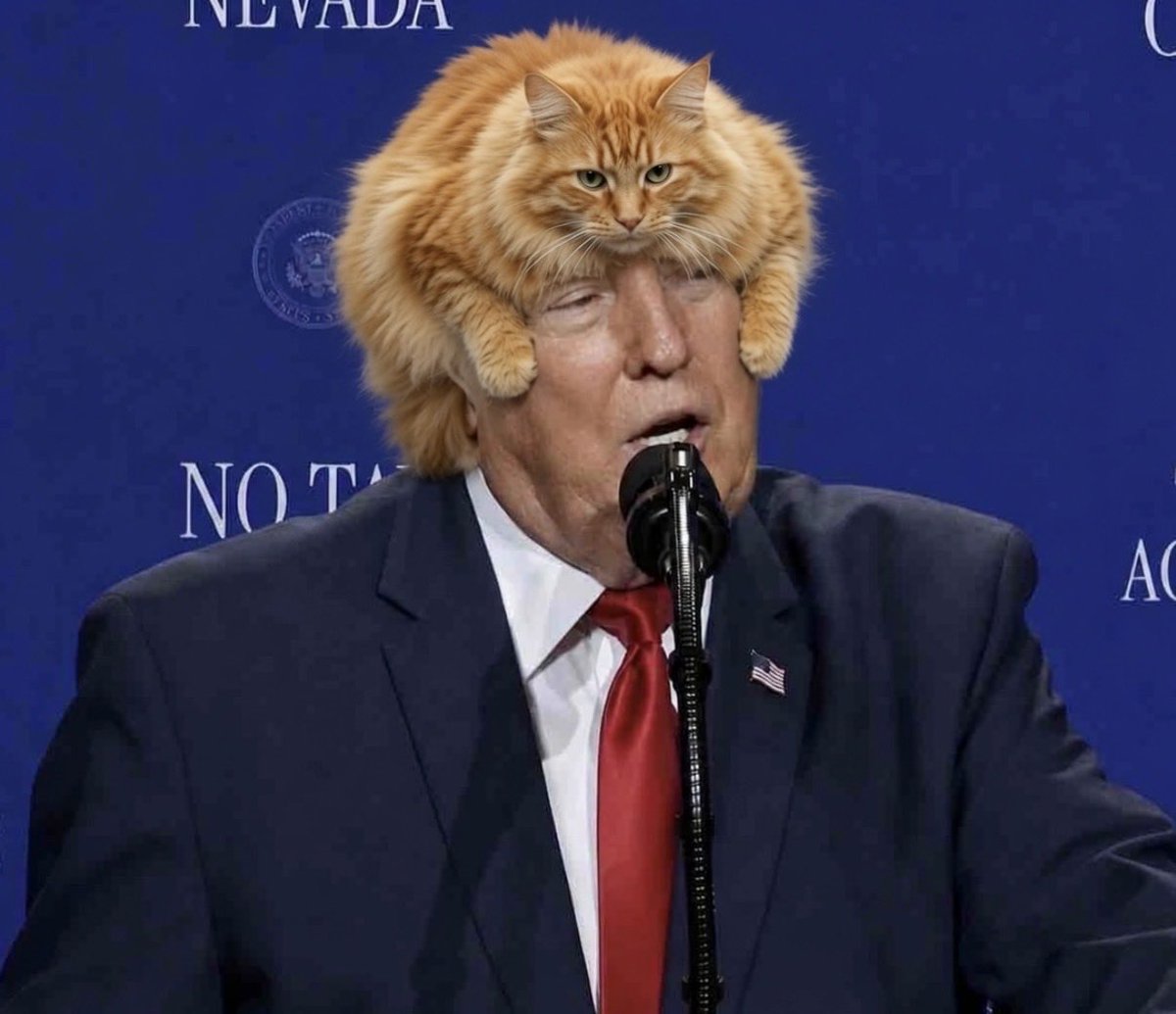TruthWill_Reign's tweet photo. What is the big fuss about Trump’s hair? I don’t get it! https://t.co/sPDFXlr0qK
