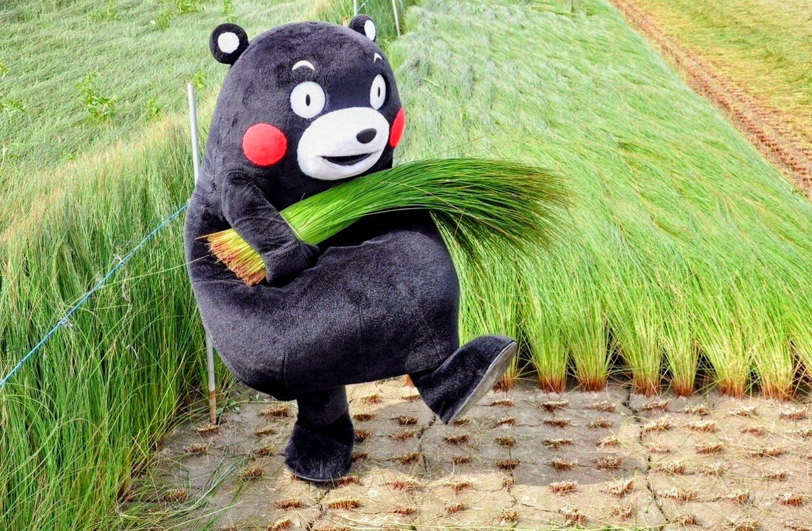 takaaki5's tweet photo. おはよう日本🇯🇵 (*`･_･´*)ゞ
がんばるばい熊本🇯🇵 ι(｀･-･´)/

令和8年熊本地震により落命された方々にお悔みを、被災された全ての皆さまにお見舞い申し上げます🙇

猛暑の中、被災地の復旧・復興に尽力されている全ての皆さまに感謝いたします。

皆さま、おはようございます。
今日も一日🎐宜しくお願い致します(_ _;)
