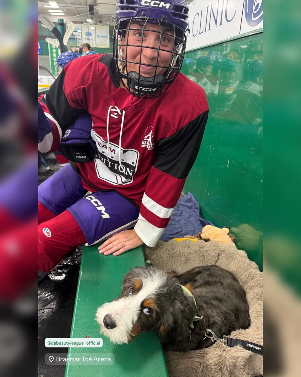 DaBeautyLeague's tweet photo. Taylor Heise brought a very special guest to Braemar last night 🥺

Welcome to Da Beauty League, Winston 🐾 https://t.co/7F8EAzIZzG