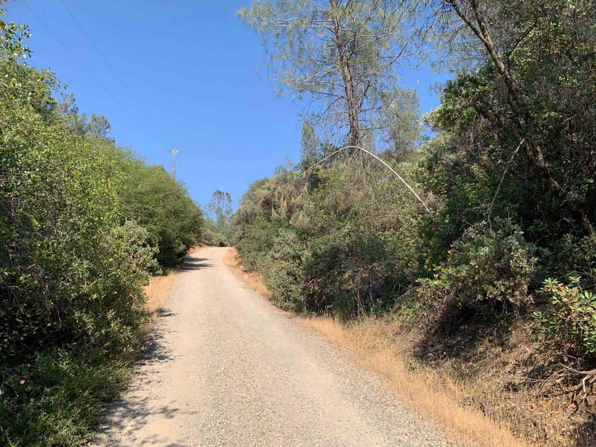 cbgrassrootsre's tweet photo. Price reduced: nearly 10 acres in Grass Valley 🌲
Secluded Retrac Ranch setting with easy access—private land like this stays in demand in Grass Valley.
More: https://t.co/WzaJUoBvJw
#GrassValley #LandForSale https://t.co/WYQ4v8lQvd