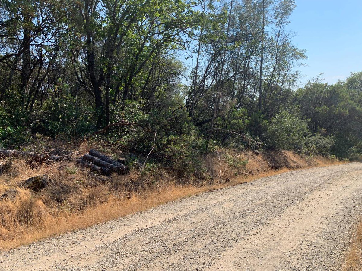 cbgrassrootsre's tweet photo. Price reduced: nearly 10 acres in Grass Valley 🌲
Secluded Retrac Ranch setting with easy access—private land like this stays in demand in Grass Valley.
More: https://t.co/WzaJUoBvJw
#GrassValley #LandForSale https://t.co/WYQ4v8lQvd