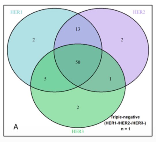 tompowles1's tweet photo. We know most bladder cancers express HER-2 protein, which has become useful ADC target. @scocmem shows >90% of patients also express HER 1 and HER 3 (usually concurrently). This is relevant because the IZABRIGHT R3 trial (enrolling) tests a HER1/3 dual target ADC (IzaBren) in UC. New targets =new opportunities/combinations  @montypal @DrChoueiri @Annals_Oncology @ESMO_Open