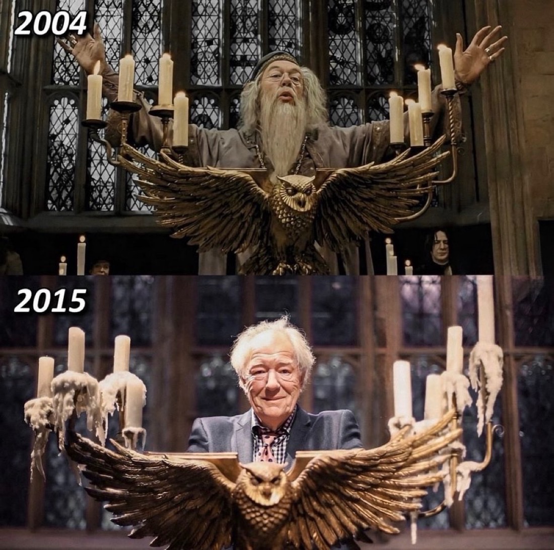 TheDailyHPotter's tweet photo. We miss our Dumbledore 🥹 https://t.co/FNZFOYQ9tL