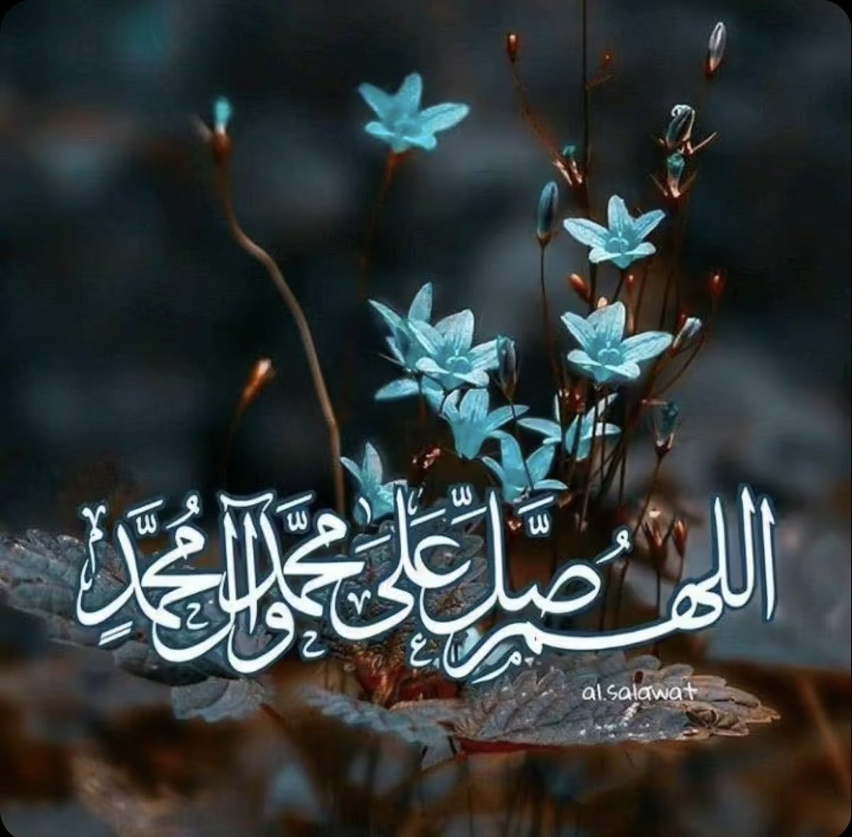 abuabdullahmktb's tweet photo. ❤️ان الله وملائكته يصلون على النبي يا أيها الذين آمنوا صلوا عليه وسلموا تسليماً ❤️
اللهم صلي وسلم وبارك على نبينا وحبيبنا محمد وعلى اله وصحبه أجمعين تسليما ًكثيرا
❤️
#صلوا_على_حبيبكم_ﷺ https://t.co/BHfjE2mz5q