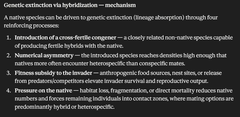 isfjcutebear's tweet photo. How to make a species go extinct: 

1. introduce a closely related invader species
2. Outnumber the natives
3. Feed the invader
4. Pressure the native
5. Encourage cross-mating

Sounds familiar right? https://t.co/9fK008UA0Y