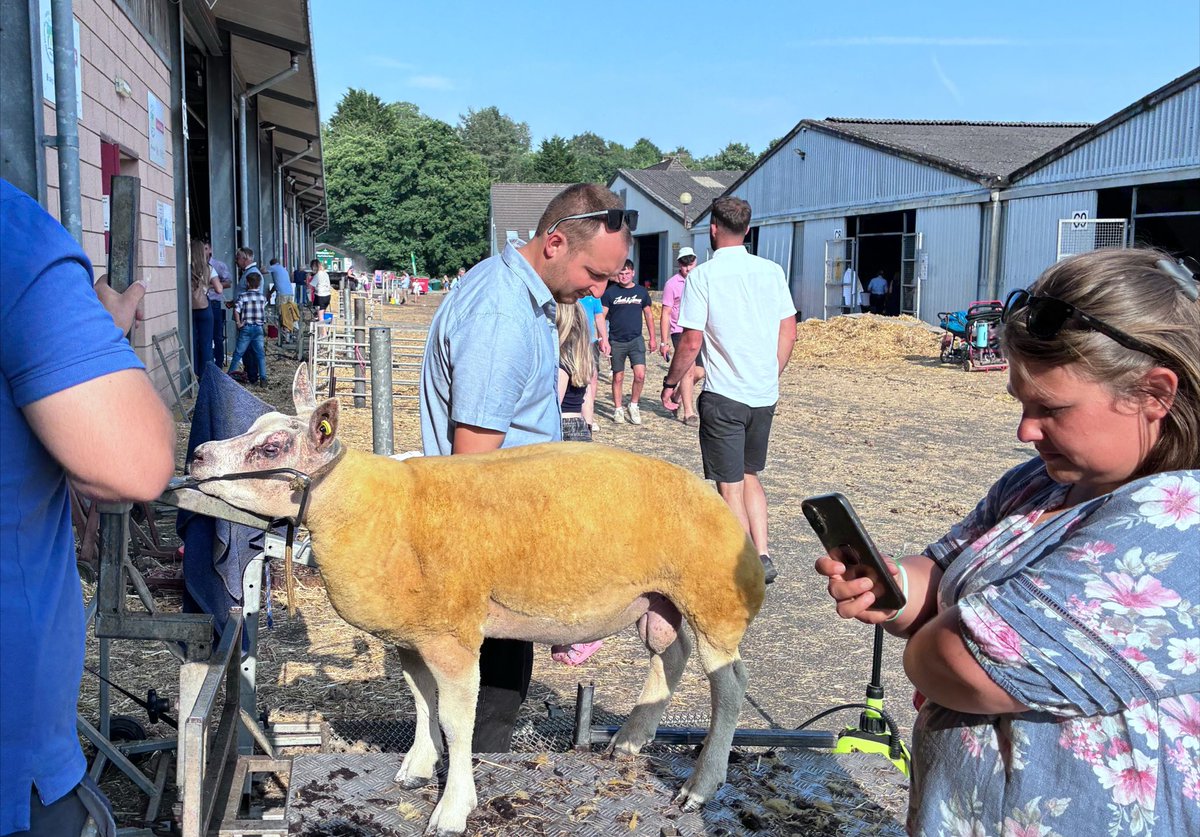 blackgull's tweet photo. Groundswell / Royal Welsh / Game Fair / field intel trip - the common theme?

listening and talking to people

grateful for any contrib to unaffiliated time and expenses, thanks https://t.co/M6UNsLIrzk https://t.co/xFyADtfBmp
