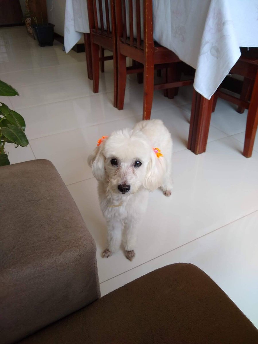 gaIaxyvia's tweet photo. @TaiiGondim a minha! tava mais tosada na epoca e recem tomada banho haha mas sao iguais https://t.co/rSfK8pIEly
