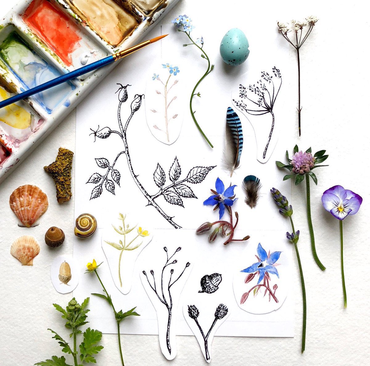 silverpebble's tweet photo. I relaunched my online workshops last night after my breakdown but no takers yet. They used to be the majority of my income so it is scary tbh.
I've taught creative & mental health classes on BBC Countryfile, @V_and_A, the Bronte Parsonage & even Highgrove. I've been advised to go on PIP (my autism,ADHD & PMDD together are disabling & my breakdown means my income's a quarter of what it was) but I really don't want to do that.
If you'd like to learn to draw plants & how creative activity alters our brain biochemistry to improve mental health my 29th August class is here👇
A RT would really really help, thankyou🌿: https://t.co/UFgNLxO8ey