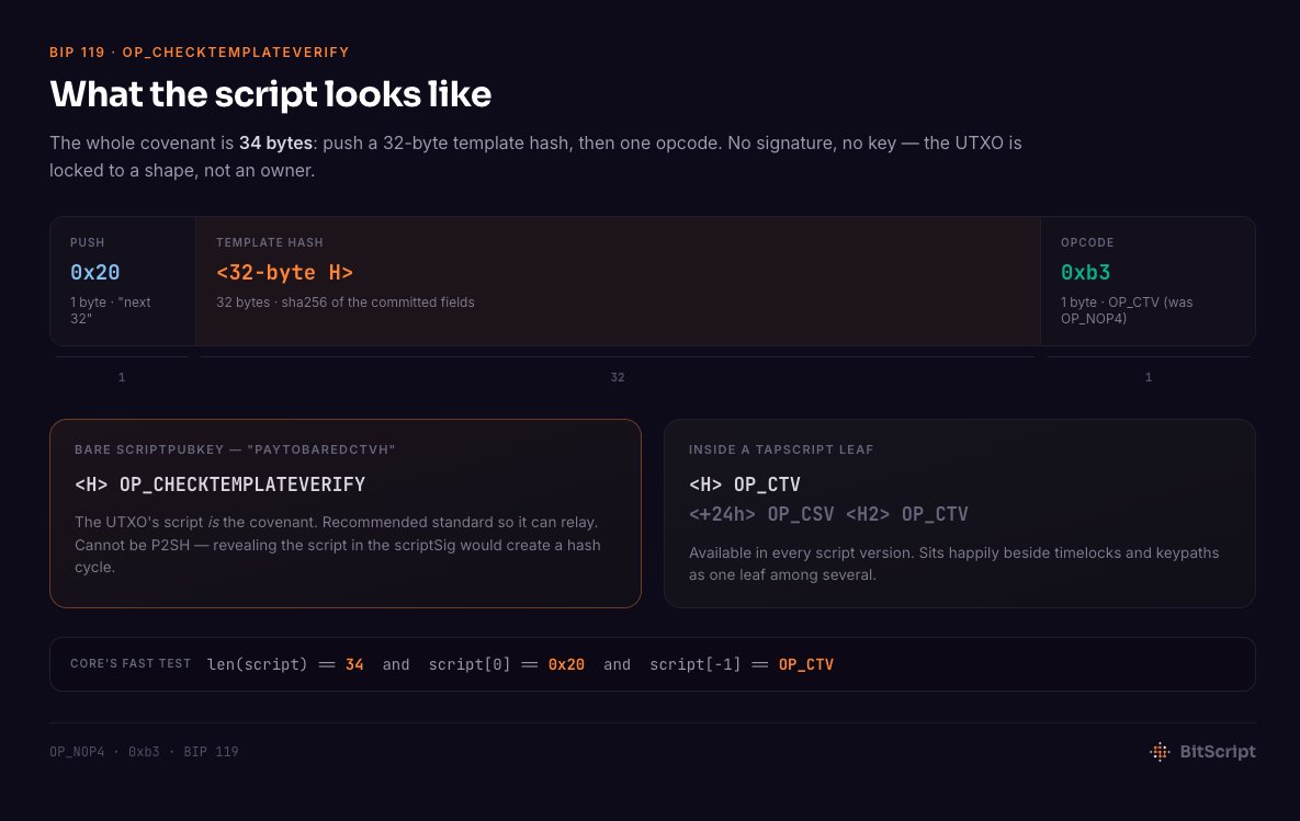 bitscriptapp's tweet photo. What do the scripts look like? 👇 https://t.co/k2aClAb7Fu