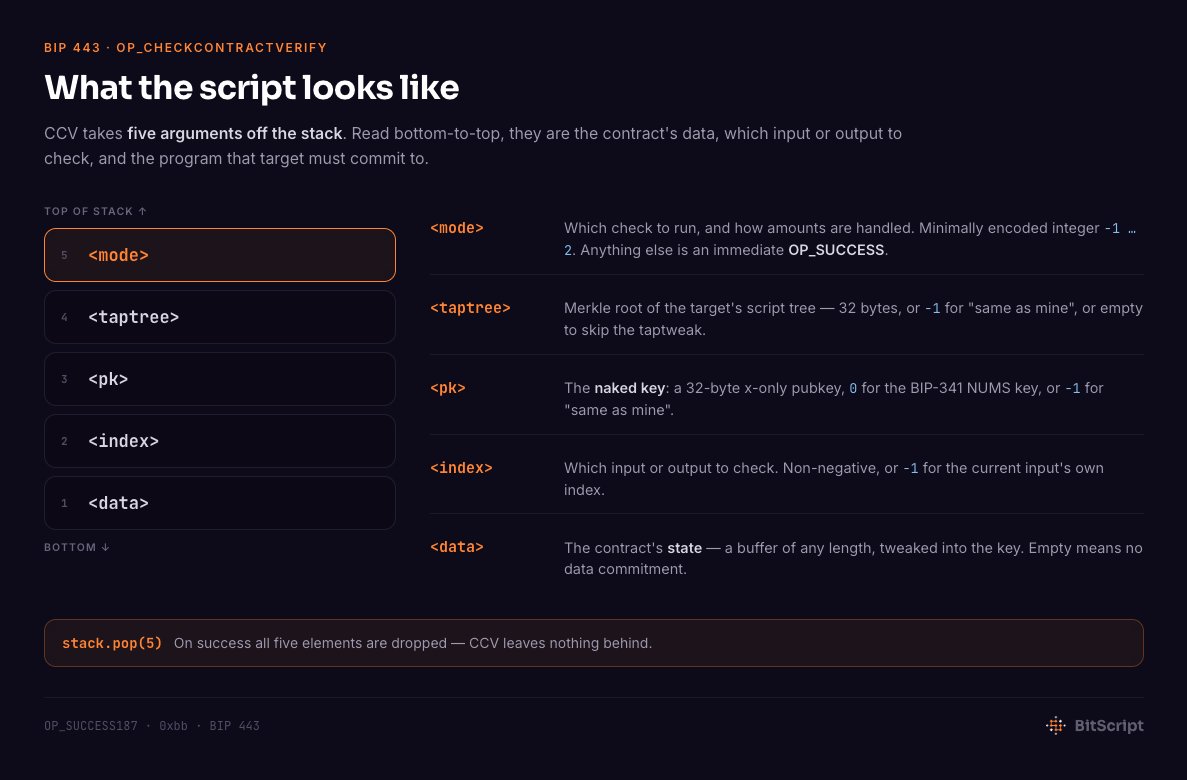 bitscriptapp's tweet photo. What do the scripts look like? 👇 https://t.co/k2aClAb7Fu