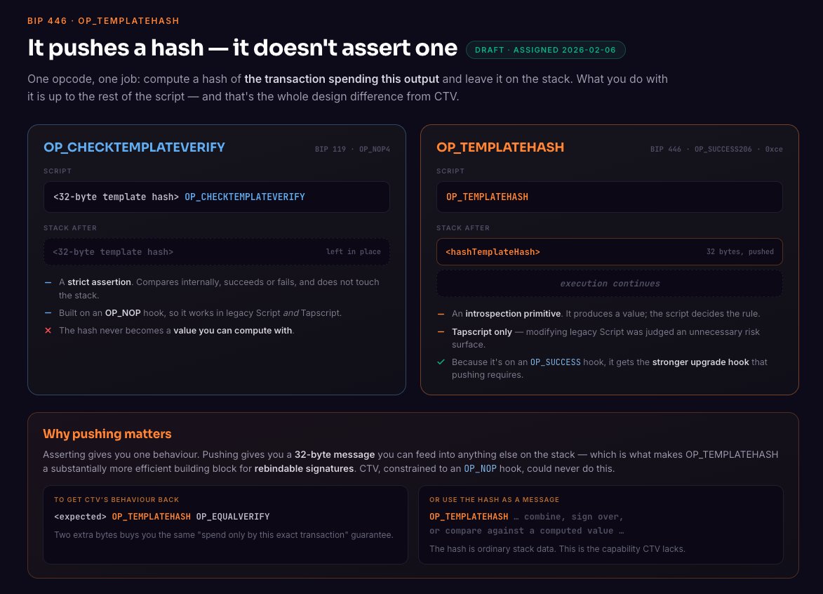 bitscriptapp's tweet photo. What do the scripts look like? 👇 https://t.co/k2aClAb7Fu