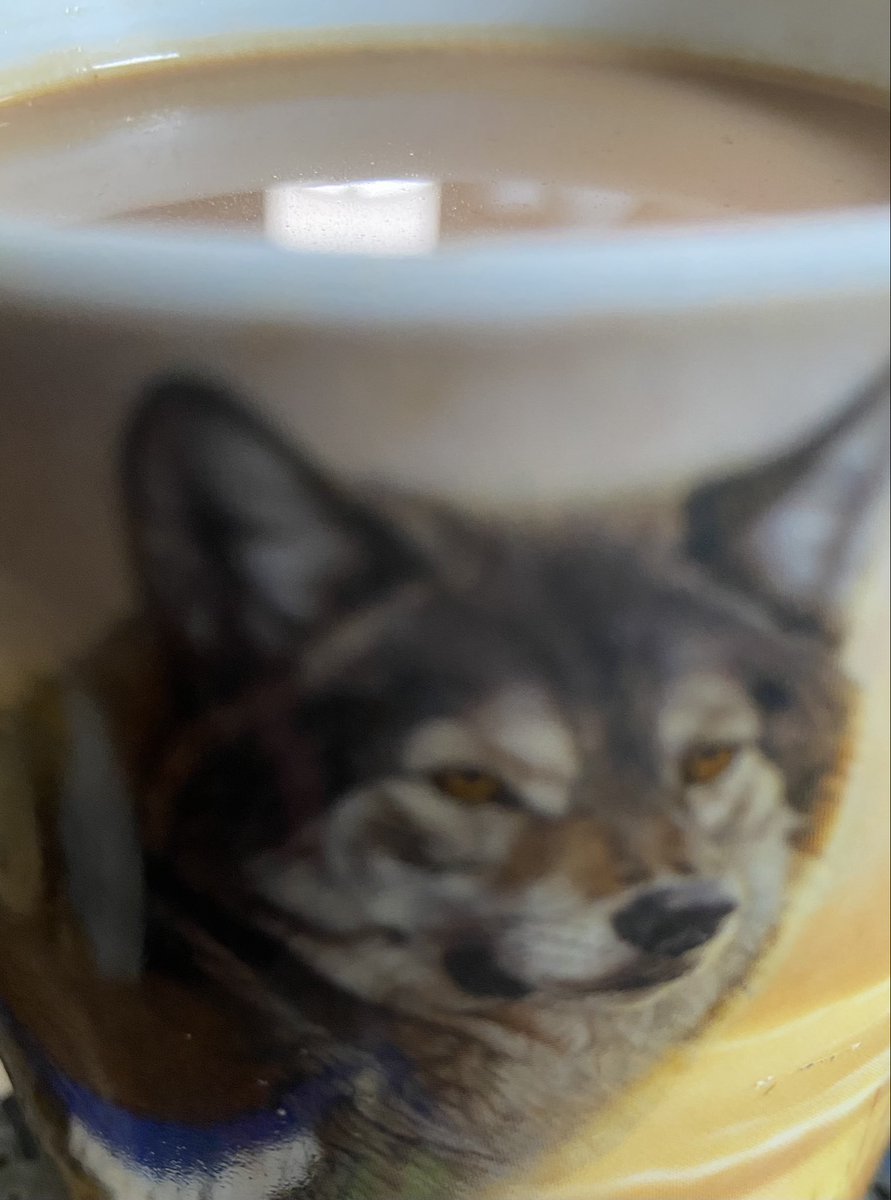 foxandwolfden's tweet photo. Time to get serious on this epilogue and unalive Micah! 🐀 RDR2 in the den! 🐴 Two streams today, since Ladywolf surprised me with a cube steak and farm eggs. That’s next episode but had to make some store bought first to set the ambience! With coffee of course! 😋 https://t.co/C078aJGIEB