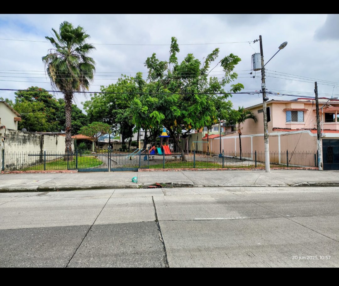 DoctorKalil's tweet photo. @parquesgye solicitamos la poda de las palmeras de nuestro parque, la contratista no lo ha hecho en años por que no tiene equipamiento ni medios. Es un peligro el estado en que están. Cdla Samanes 6 entre mz. 972-974-976, se ingresa por la Isidro Ayora. Ver fotos adjuntas https://t.co/OcqheRZGH8