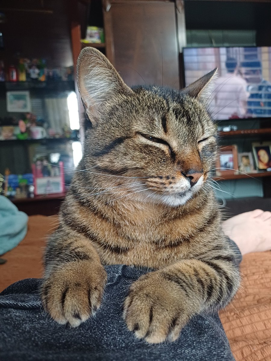 AlvesPredo28's tweet photo. Ela ama dormir desse jeito 🥺🥺🥺 https://t.co/68MjrZOuMj