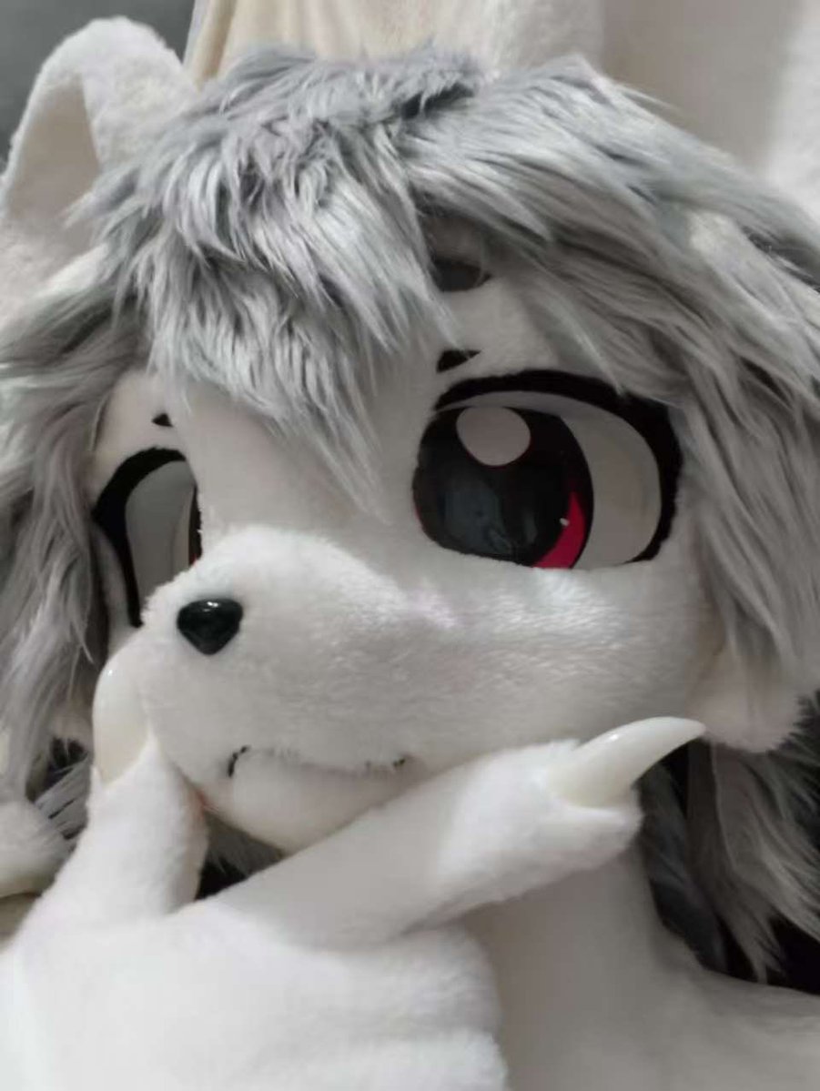 Ocore_Morpholab's tweet photo. ✨ Commission showcase! ✨ This little mouse adventurer is ready to go! And I’m still taking commissions!
#kemonofriends #kemono #fursuitmaker #fursuit #furry #兽装 #福瑞 https://t.co/6Nx3EsQAlb