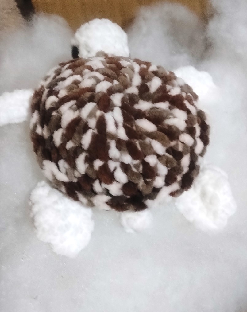 AnaVasic2's tweet photo. I jedna sasava mini kornjacica odradjena 🐢🐢🐢🥰 https://t.co/zqOAxD8doy